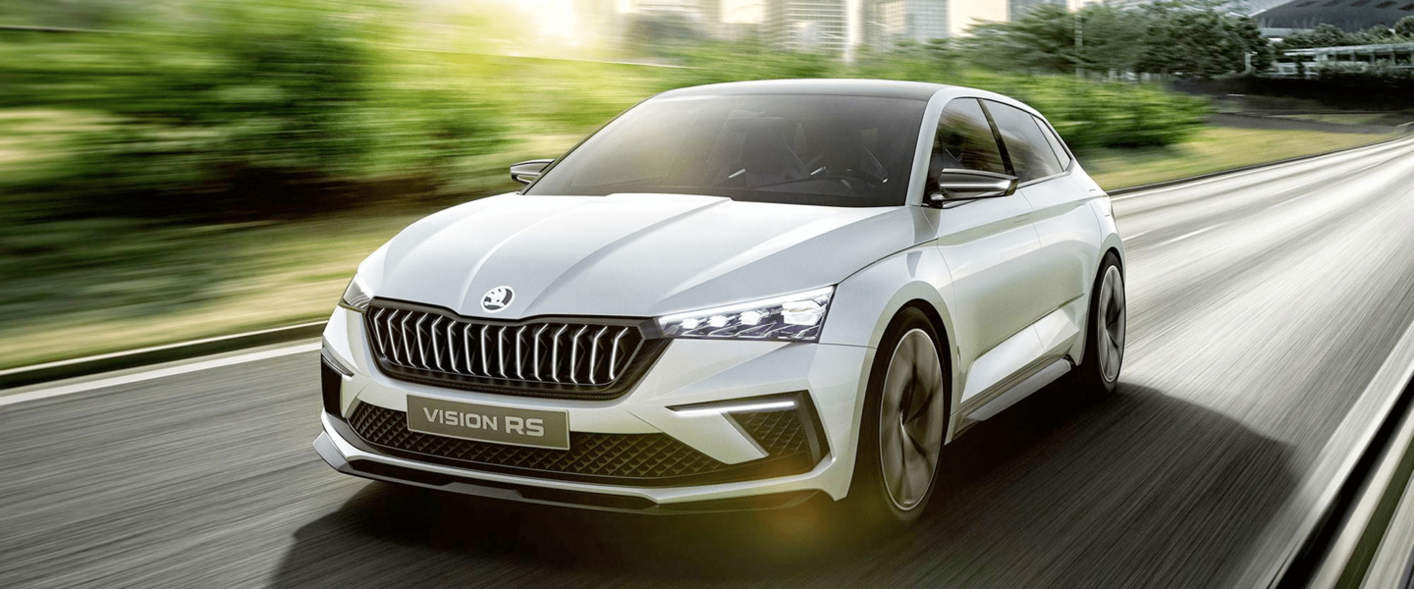 skoda-ruitservice
