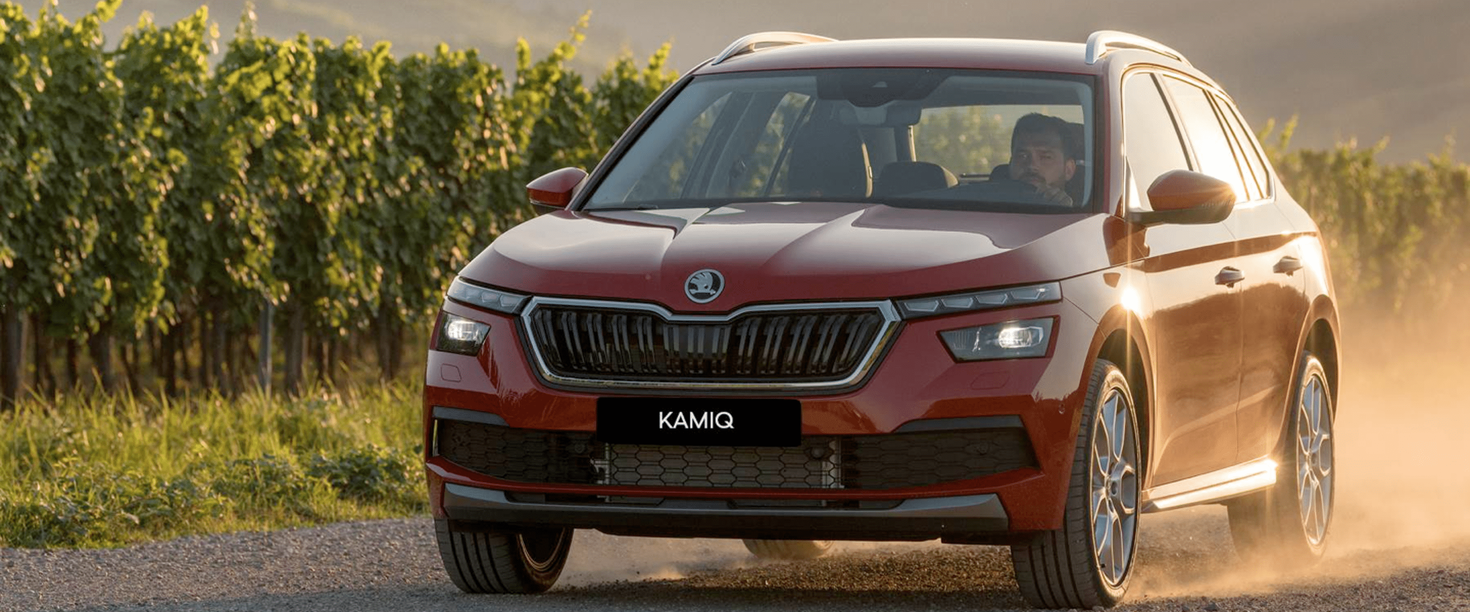 skoda-ruitschade