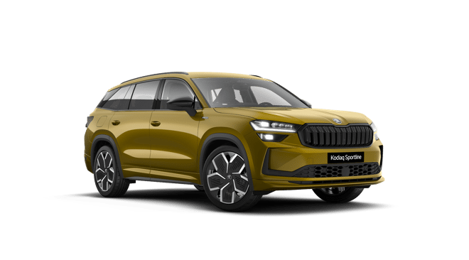 Kodiaq-min