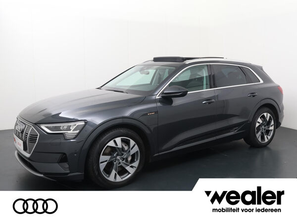 Audi e-tron e-tron 50 quattro Launch edition plus 71 kWh | 313 PK | Panoramadak | Cruise Control adaptief | Lichtmetalen velgen  velgen 20" |