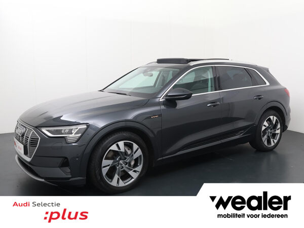 Audi e-tron e-tron 50 quattro Launch edition plus 71 kWh | 313 PK | Panoramadak | Cruise Control adaptief | Lichtmetalen velgen  velgen 20" |