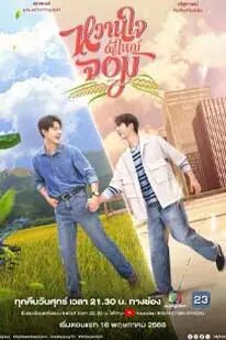 หวานใจผู้ใหญ่จอม (2025) My Sweetheart Jom