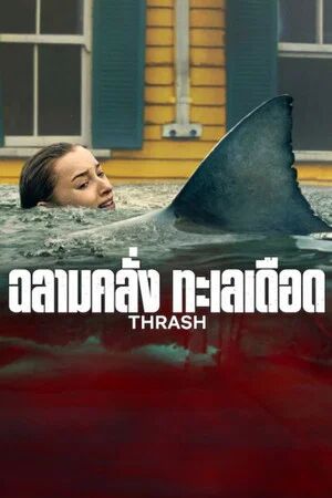 Thrash (2026) ฉลามคลั่ง ทะเลเดือด [ พากย์ไทย HD ]